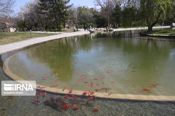 National Botanical Garden of Iran