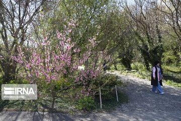 National Botanical Garden of Iran
