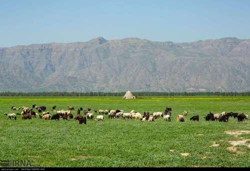 لارستان؛ آمیخته ای از شگفتی های طبیعی و جلوه های باشکوه تاریخ