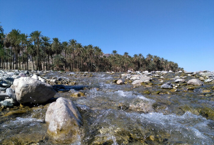 سفر نوروزی به سیستان و بلوچستان؛ سرزمین کوه، کویر و دریا