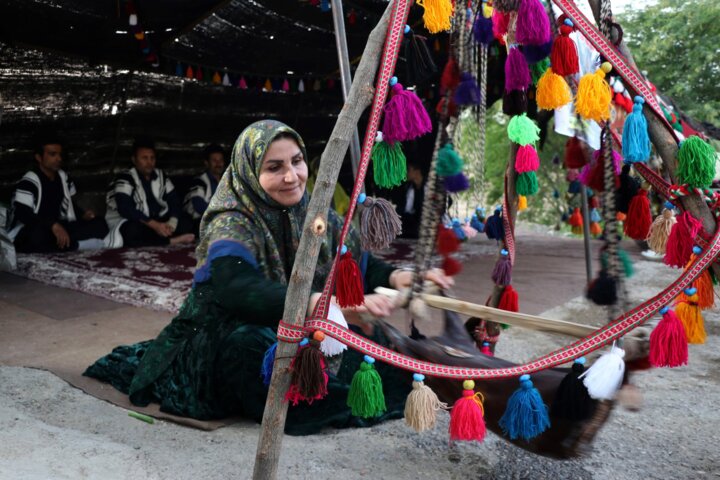 طرح توزیع نهاده برای تولید گوشت قرمز عشایری از اواسط مهر اجرا می‌شود