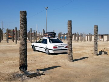 گردشگران نوروزی در سواحل بوشهر (3)