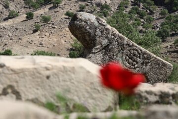 بَردِ شیر (شیر سنگی) نمادی در تاریخ و فرهنگ بختیاری