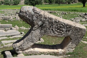بَردِ شیر (شیر سنگی) نمادی در تاریخ و فرهنگ بختیاری