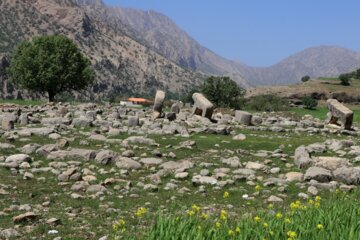 بَردِ شیر (شیر سنگی) نمادی در تاریخ و فرهنگ بختیاری