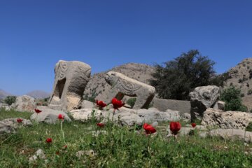بَردِ شیر (شیر سنگی) نمادی در تاریخ و فرهنگ بختیاری