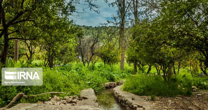 گردشگران از جذابیت های طبیعت بکر کهگیلویه و بویراحمد می گویند