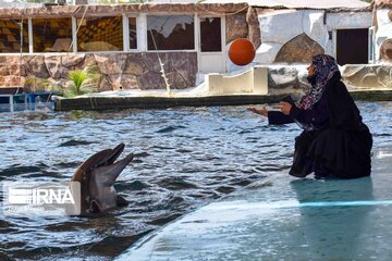 Kish Dolphin Park