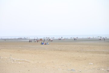 اسکان گردشگران نوروزی در ساحل پارک غدیر بندرعباس