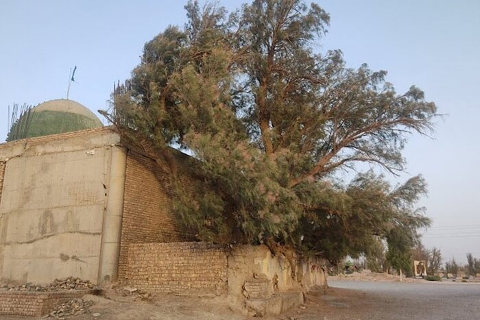 زیارتگاه بی بی دوست؛ جاذبهای مذهبی در دشت سیستان