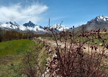 نمایی ازطبیعت بهاری بدر و پریشان قروه