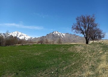 نمایی ازطبیعت بهاری بدر و پریشان قروه