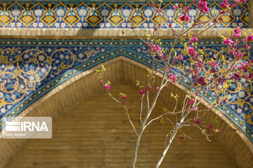 Isfahan beauties and its tourists in Iranian New Year