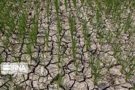 افزایش هشداردهنده سرعت پیدایش خشکسالی های ناگهانی در زمین