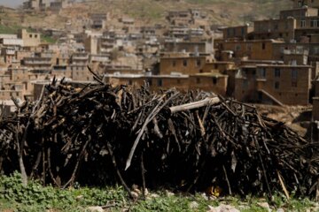 پالنگان روستایی پلکانی