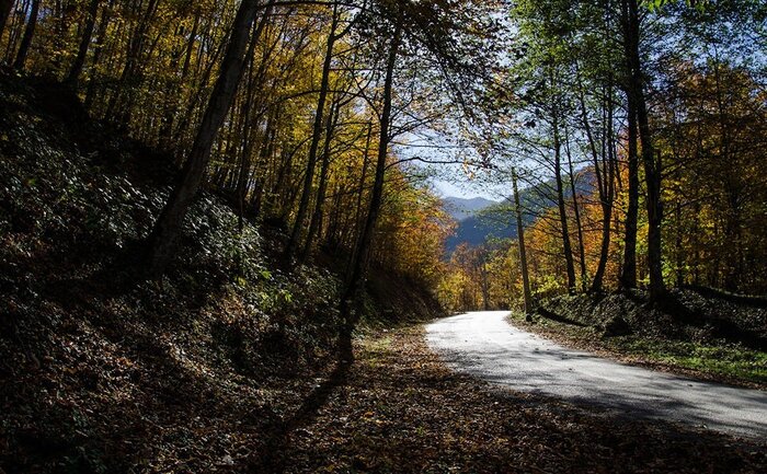 سیزده هیرکانی مازندران؛ بینظیر اما حساس