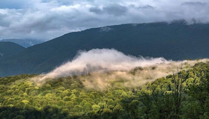 سیزده هیرکانی مازندران؛ بینظیر اما حساس
