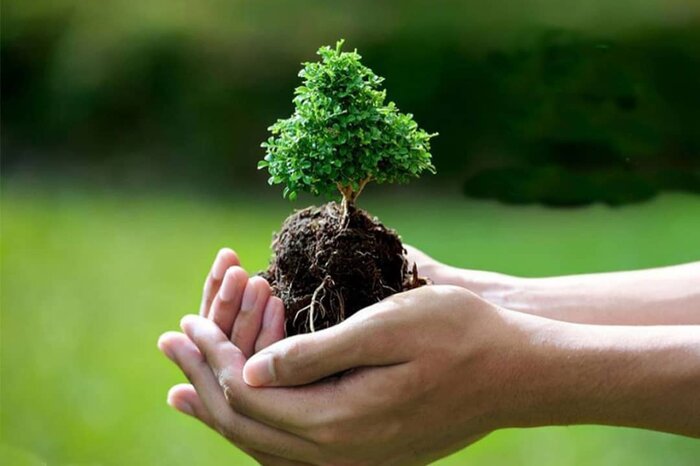 پاکسازی اطراف تالاب گیلارلوی گرمی مغان 