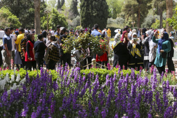 باغ ارم شیراز میراثی جهانی در ایام نوروز