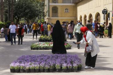 باغ ارم شیراز میراثی جهانی در ایام نوروز