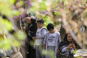 باغ ارم شیراز میراثی جهانی در ایام نوروز