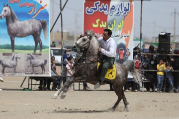 همایش سوارکاری و حرکات زیبایی در روستای سمقاور شهرستان کمیجان