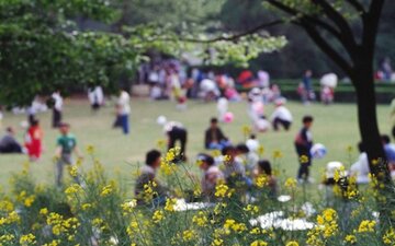 ۱۳ فروردین روزی برای حفظ طبیعت