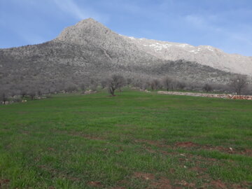 طبیعت بهاری شهرستان روانسر