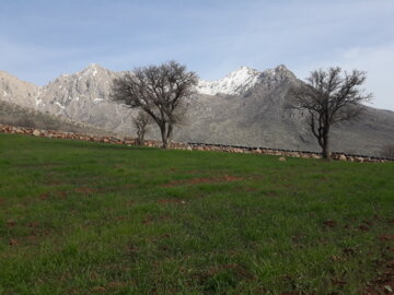 طبیعت بهاری شهرستان روانسر