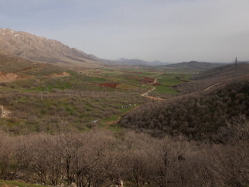 طبیعت بهاری شهرستان روانسر