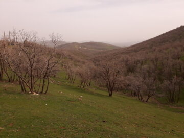 طبیعت بهاری شهرستان روانسر