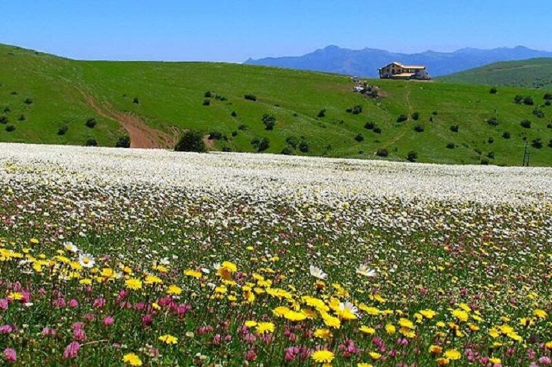 روز طبیعت در استان اردبیل کجا برویم