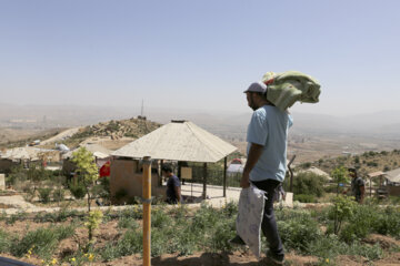 روز طبیعت در شیراز