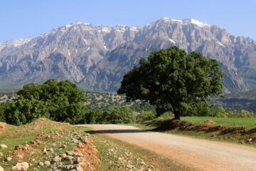 نوروزگاه بختیاری در منطقه گردشگری کُتُک اندیکا