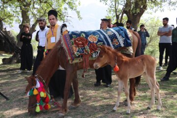 نوروزگاه بختیاری در منطقه گردشگری کُتُک اندیکا