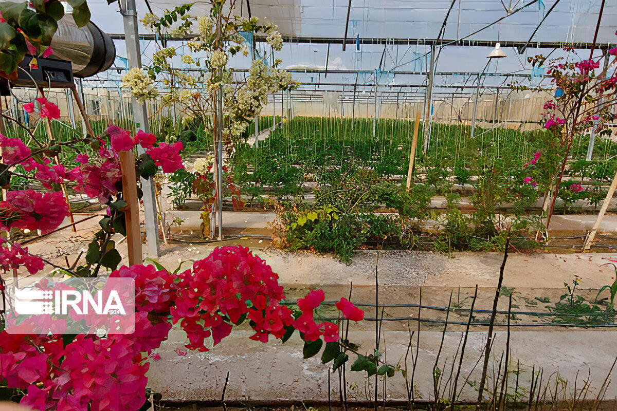 از بیمه رایگان اقشار کم در آمد تا فروش محصولات صنایع دستی در نوروز