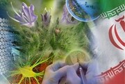 شناسایی ذخایر ژنتیکی جزو نیرومندترین ابزار ایجاد اشتغال و تولید ثروت است