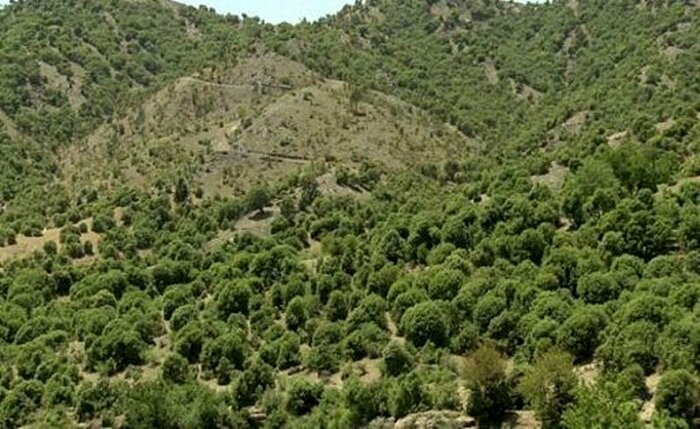 مرگ تدریجی «مادر زاگرس»
