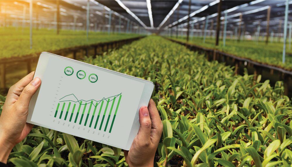 کشاورزی گلستان مستعد پیشگامی در تحقق تولید دانشبنیان