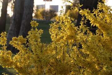 چشم‌ انداز بهاری شهر ارومیه