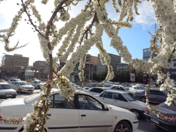 چشم‌ انداز بهاری شهر ارومیه