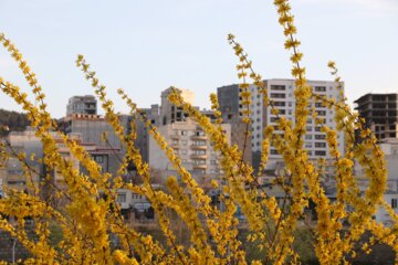 چشم‌ انداز بهاری شهر ارومیه