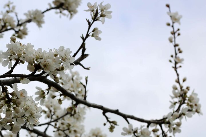 سامانه بارشی جنوب آذربایجان‌غربی را فرا می‌گیرد