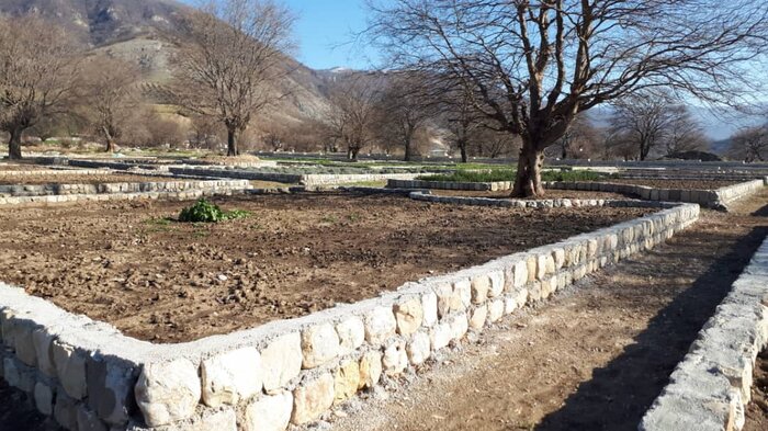 دهکده گیاهان دارویی تکمیلکننده زنجیره تولید و رونق بخش اقتصاد گلستان