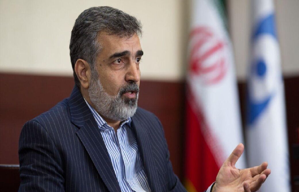 El portavoz de la OEAI dice que Irán seguirá comprometido con las salvaguardias