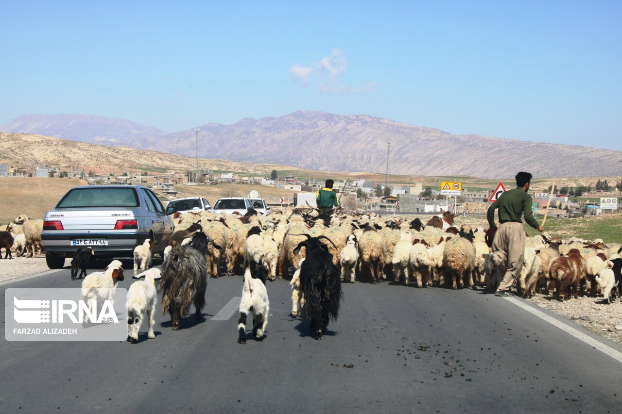 از صادرات شرکتهای دانش بنیان تا اجرای پایلوت طرح کارت یارانه نان