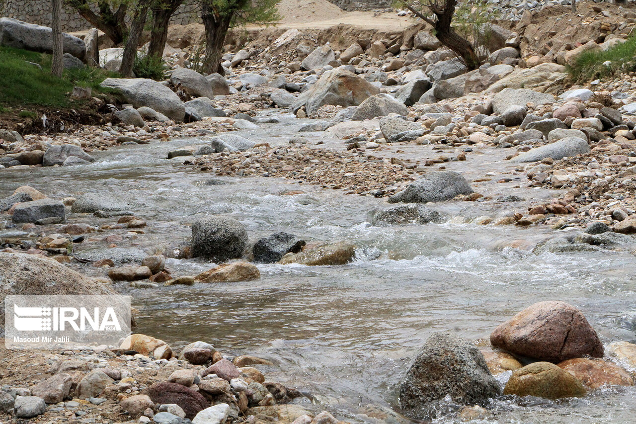 از صادرات شرکتهای دانش بنیان تا اجرای پایلوت طرح کارت یارانه نان