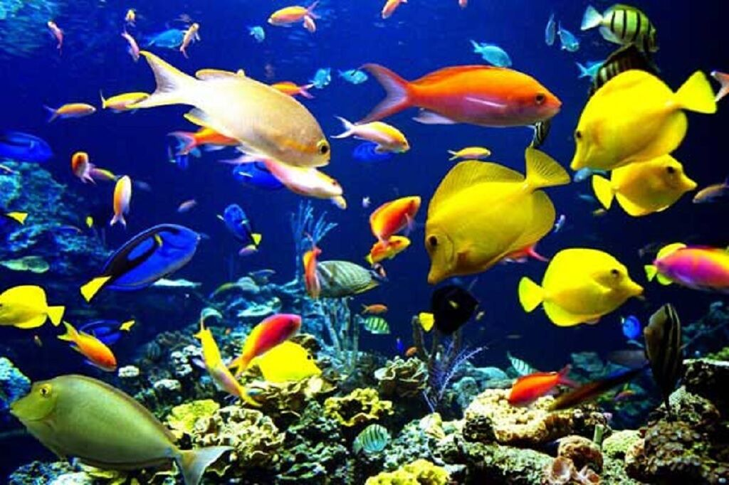 از صادرات شرکتهای دانش بنیان تا اجرای پایلوت طرح کارت یارانه نان