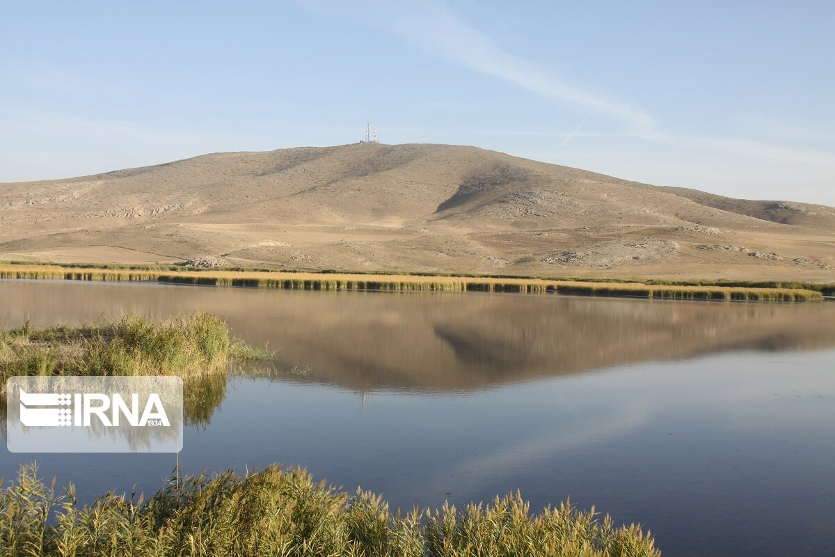 از صادرات شرکتهای دانش بنیان تا اجرای پایلوت طرح کارت یارانه نان