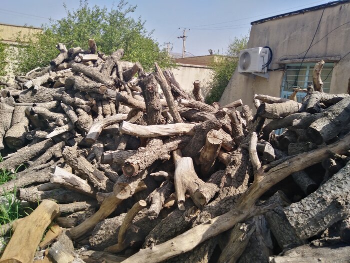 ۱۴۰ پرونده تخلف عرصه های ملی در باشت تشکیل شد 5 ۱۴۰ پرونده تخلف عرصه های ملی در باشت تشکیل شد